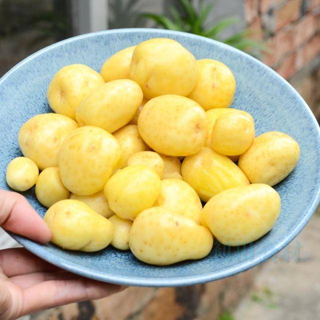 原创            吃1个它=10个苹果，钾是香蕉24倍，中老年人常吃，补钾通便抗衰老