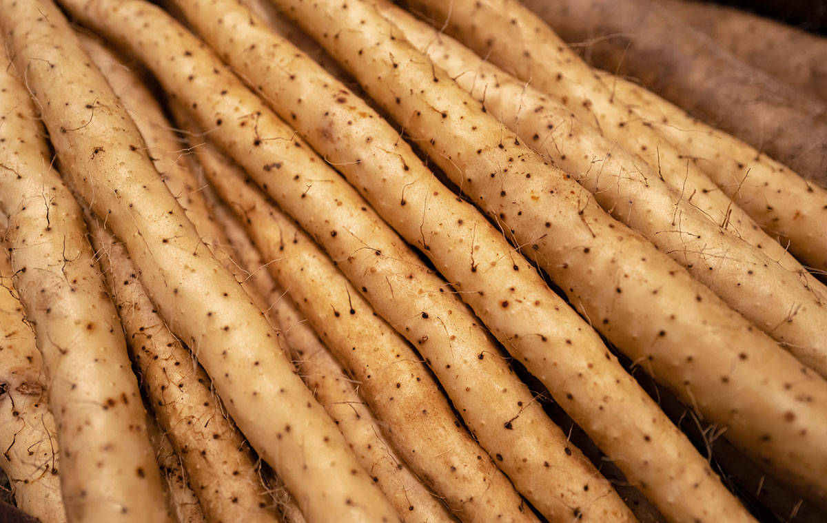 原创            山药正上市，医生提醒：万不可与“4样”食物一起吃，吃山药的禁忌要牢记