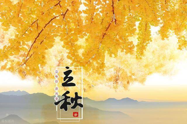 一护胃、二补蛋白、三强免疫，“吃一斤胜过10斤肉”立秋后别错过