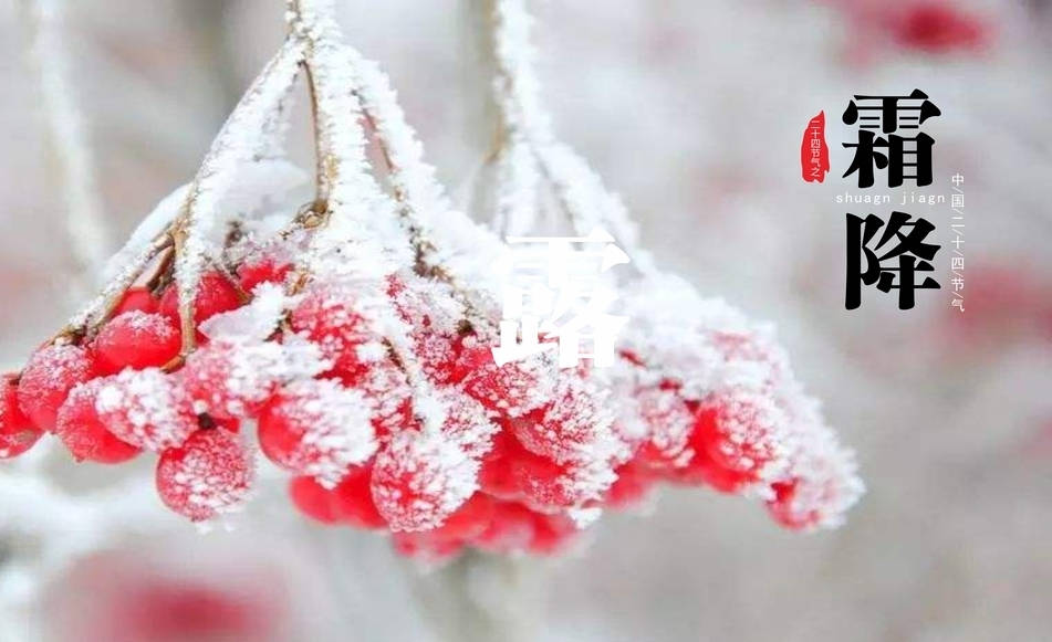 原创            10月23日霜降，中老年人要少吃柿子和螃蟹，多吃5样，保暖润燥健脾胃