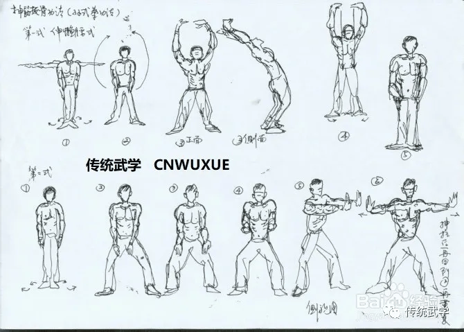 孙门基本功“抻筋拔骨”功图解（年底）