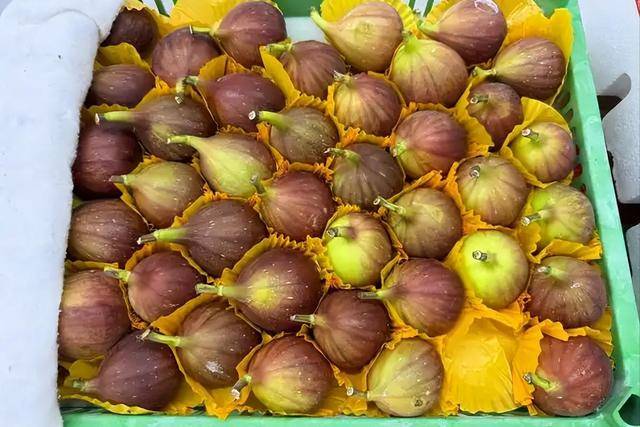 原创            无花果立大功？医生发现：无花果对这4种慢性病有好处，建议多吃