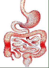 健康科普｜秋冬护好消化道，远离消化道出血