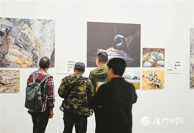 第30届全国摄影艺术展览在厦开幕，279件影像作品“展”精彩