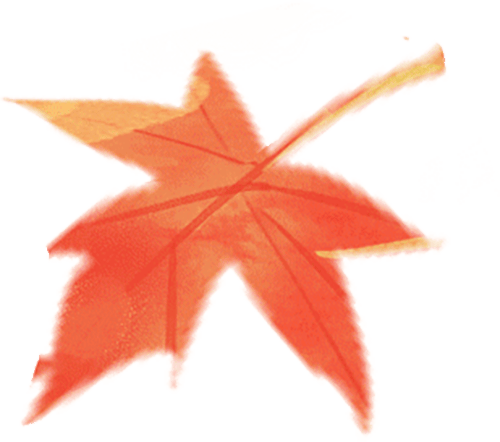 节气养生 | 今日寒露，寒气渐生，防寒润燥需并行，学会中医方法调养，全家都健康！