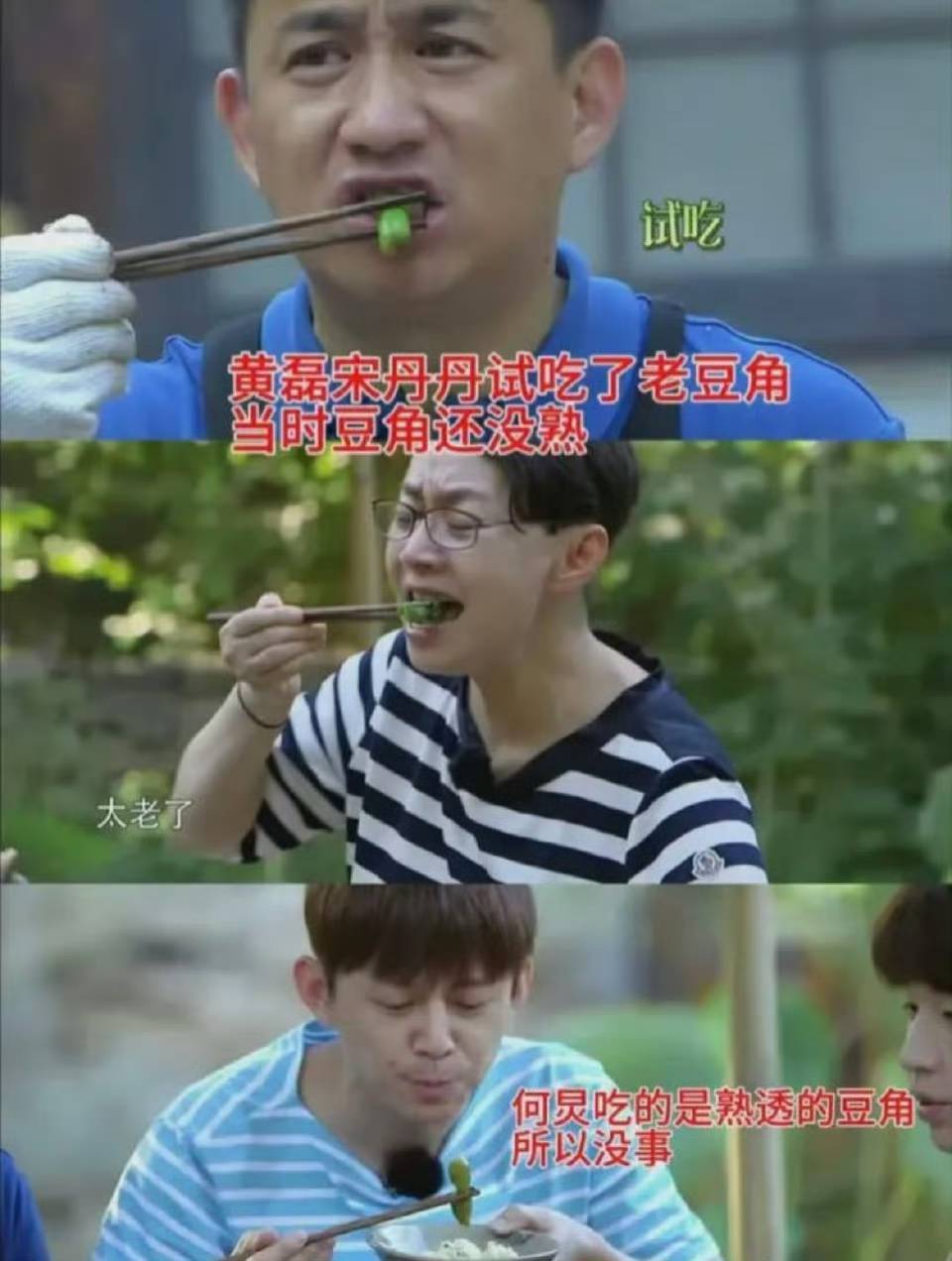 黄磊七年后再谈“豆角风波”：一场综艺意外如何成为全民记忆？