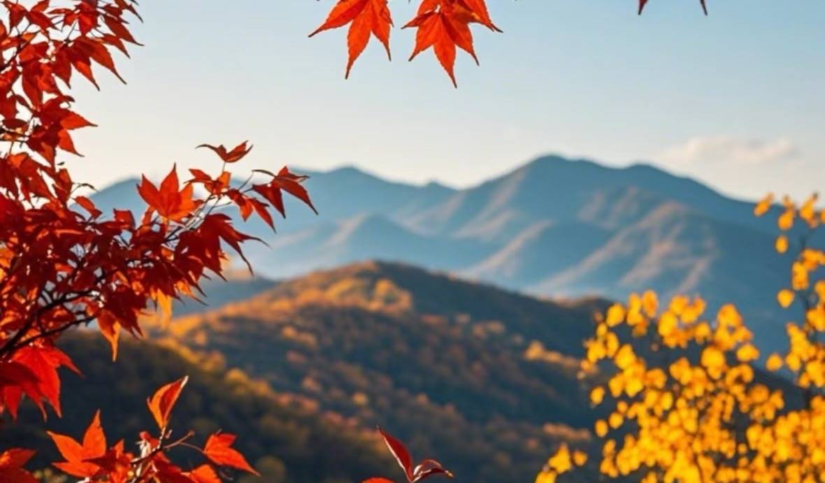 抑郁症,无大热,烦躁的本质,无非是些虚热