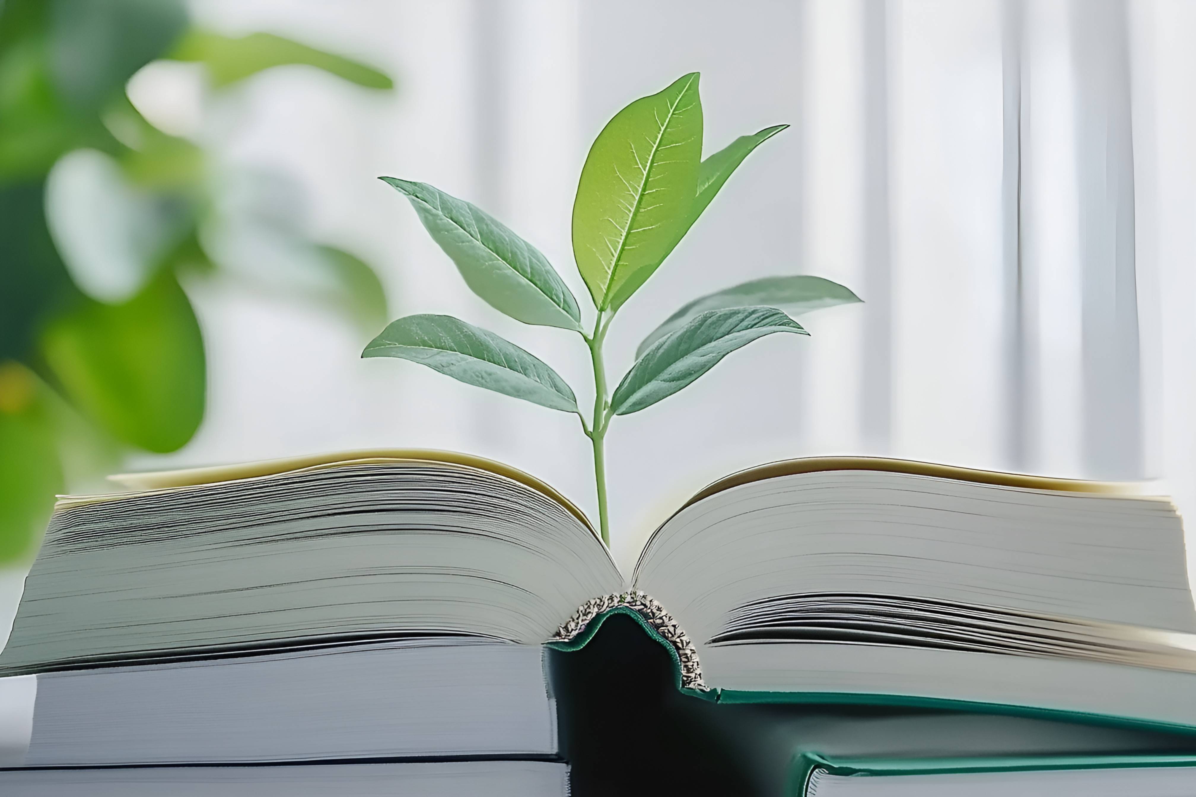 有口碑的化学教辅书籍选购攻略？