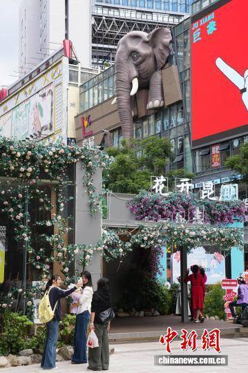 昆明街头大象“穿墙”艺术装置吸引市民打卡
