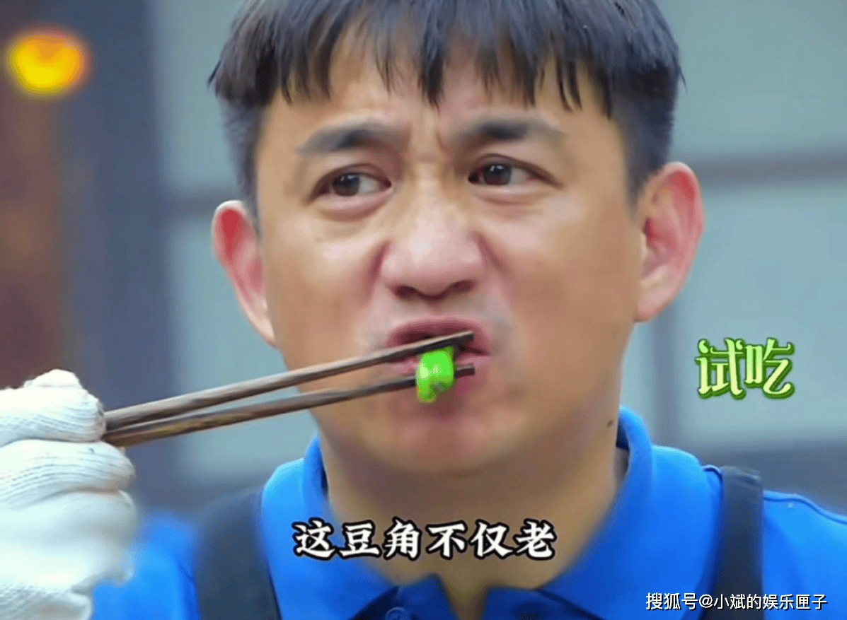 原创            黄磊豆角梗跨越八年迎反转，辛芷蕾一句话化解综艺界最长“悬案”