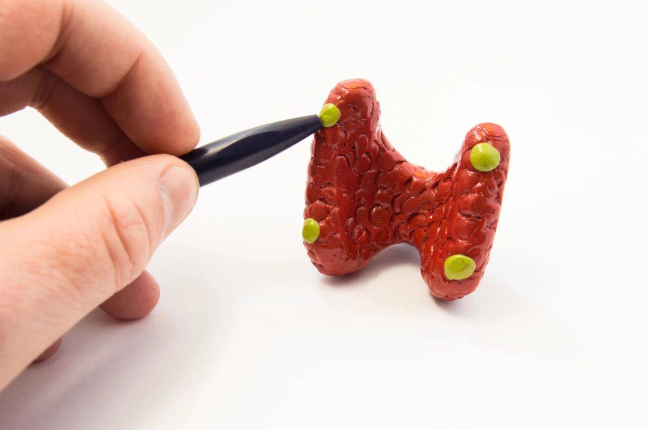 常喝奶茶、咖啡，会对甲状腺有影响吗？