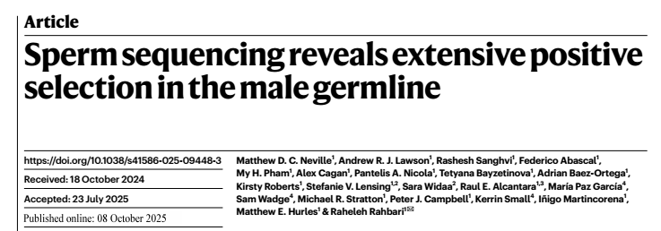 “男性当爹”要趁早？