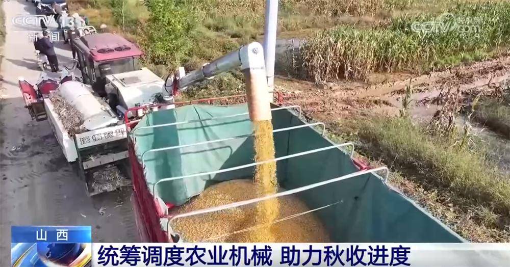 多地“攥指成拳”打响秋收“攻坚战” 排涝、抢收、抢烘有序开展