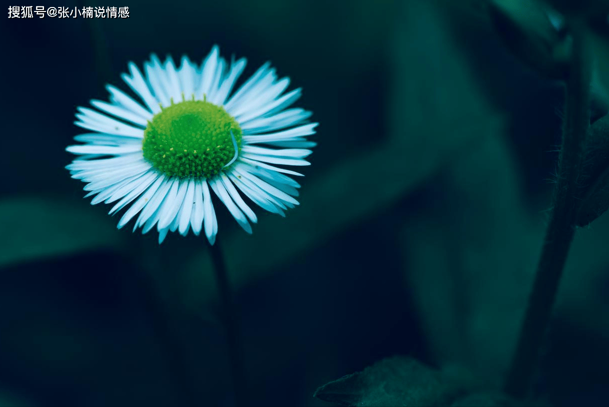 原创            撩男人，不用天天联系，做好这三件事，反而更有效