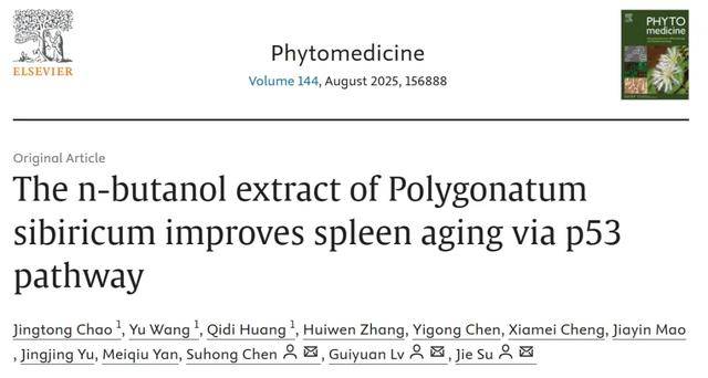 药食同源抗衰新研究！这种“老虎姜”可以延缓脾脏衰老