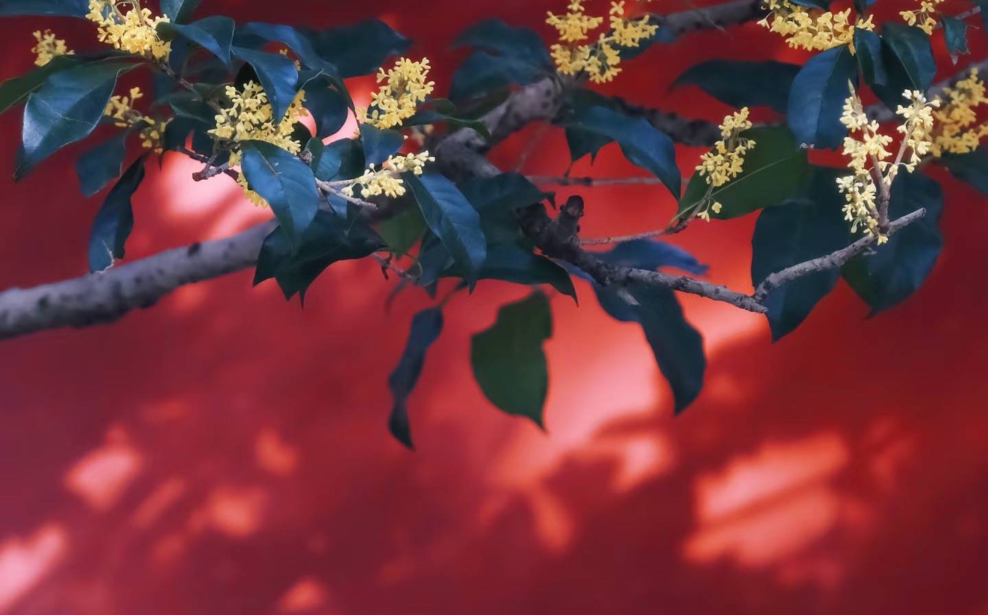 抑郁之人，补足少阴，推动三阳，剩下的就好办了