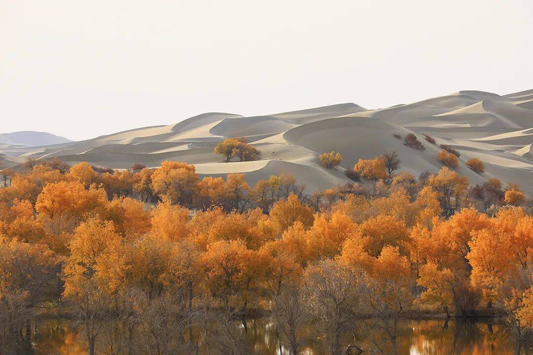 数字阅读||一本传记一部史，于笔墨之间寻见生命之光