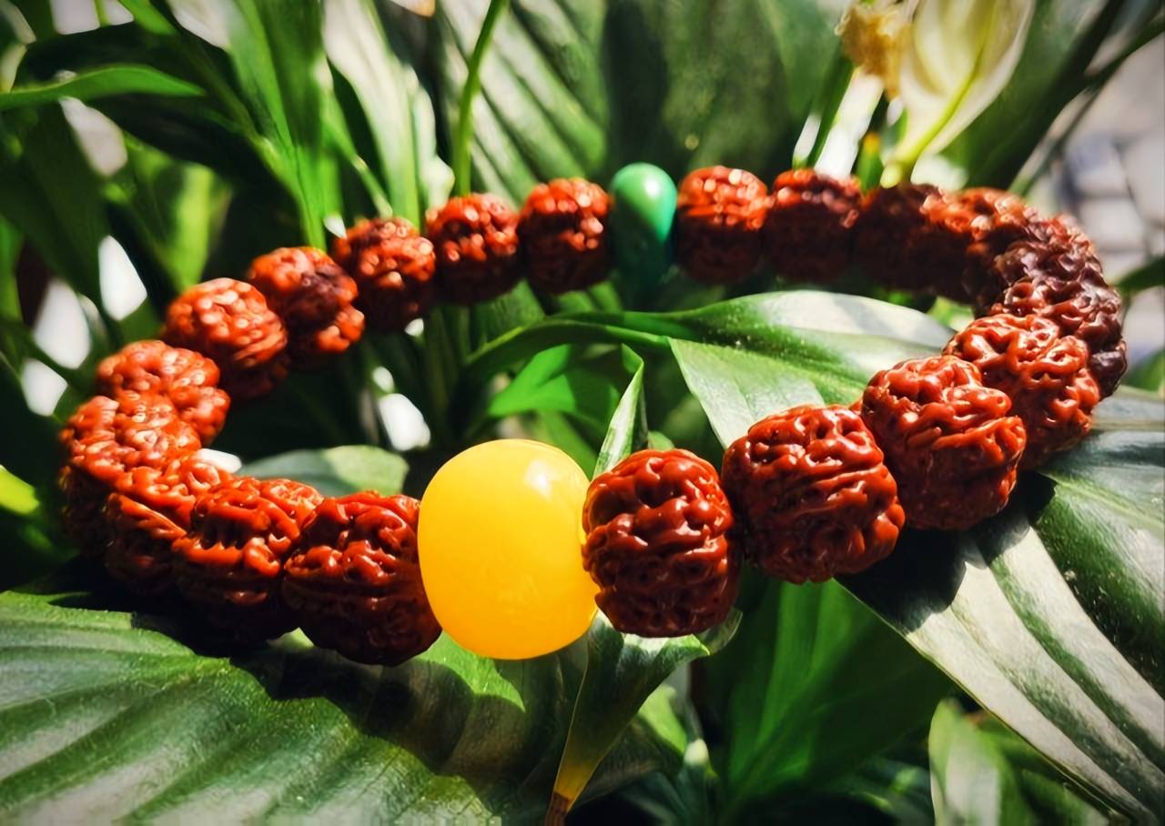 这几种文玩可以算是菩提子颜值巅峰了么？