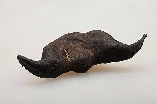 这个很丑的果子竟是秋季“养脾宝”，生津、安神、补肺肾，这些吃法最推荐