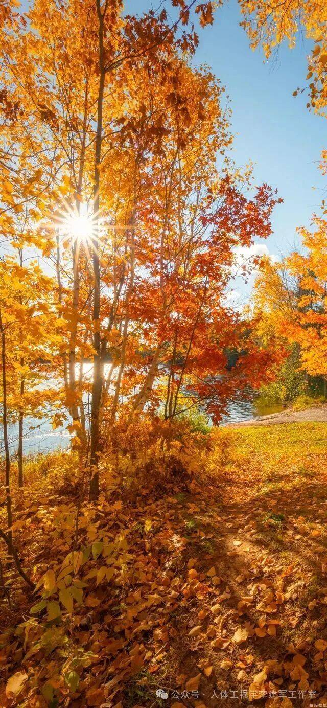 原创            秋天养“神” 不抑郁！