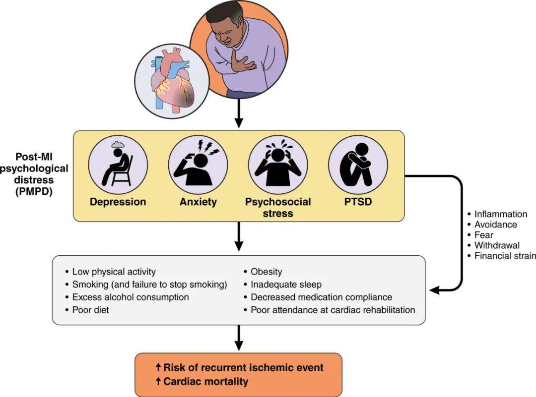 约半数心梗后患者出现心理问题，心梗后抑郁可定性为心脏危险因素！AHA科学声明