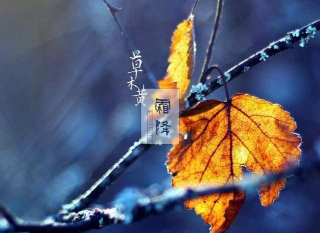 原创            “霜降吃3宝, 冬天无病扰”10月23日霜降，3宝指啥？滋养健脾润燥