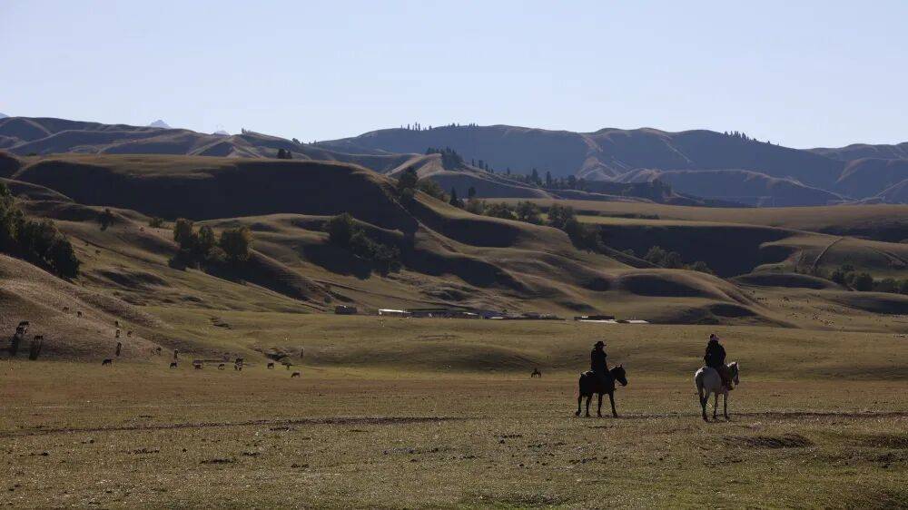这个适合深秋喝的方子，好润啊，越喝皮肤越细腻
