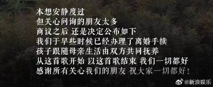 李亚鹏海哈金喜宣布离婚