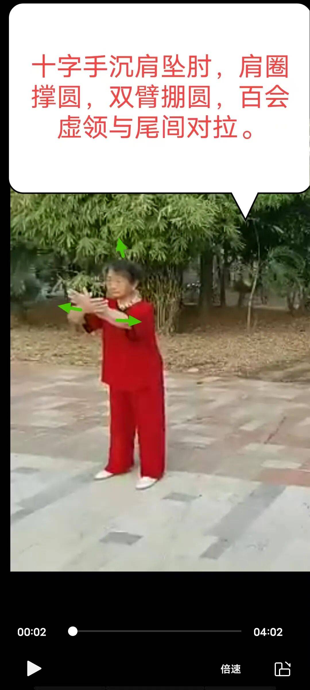 [每周点评]（39）朱秀芬传统杨氏85拳十字手接抱山归山图解