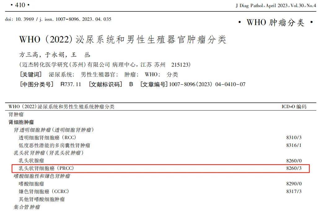 乳头状肾细胞癌中的独特亚型「双相型乳头状肾细胞癌」有哪些分子和形态特征？