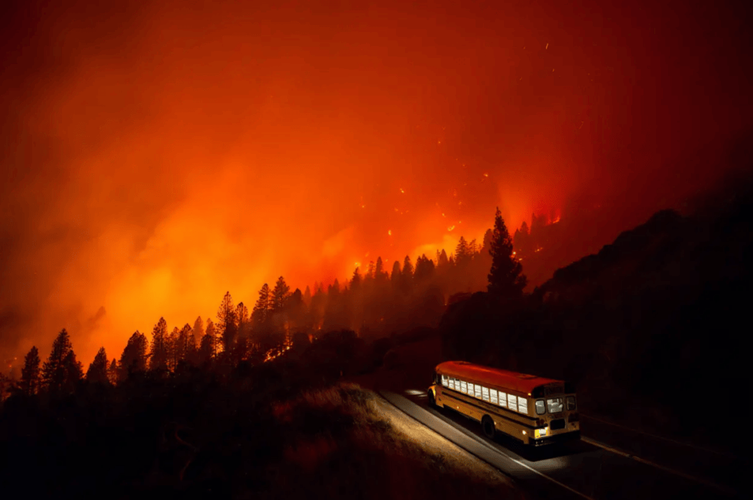 今年最火灾难大片，看得我每一秒都不敢大口呼吸