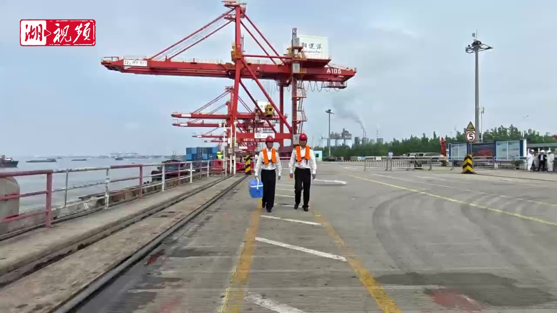 2025年前三季度湖北省进出口突破6000亿元 民营企业是主力