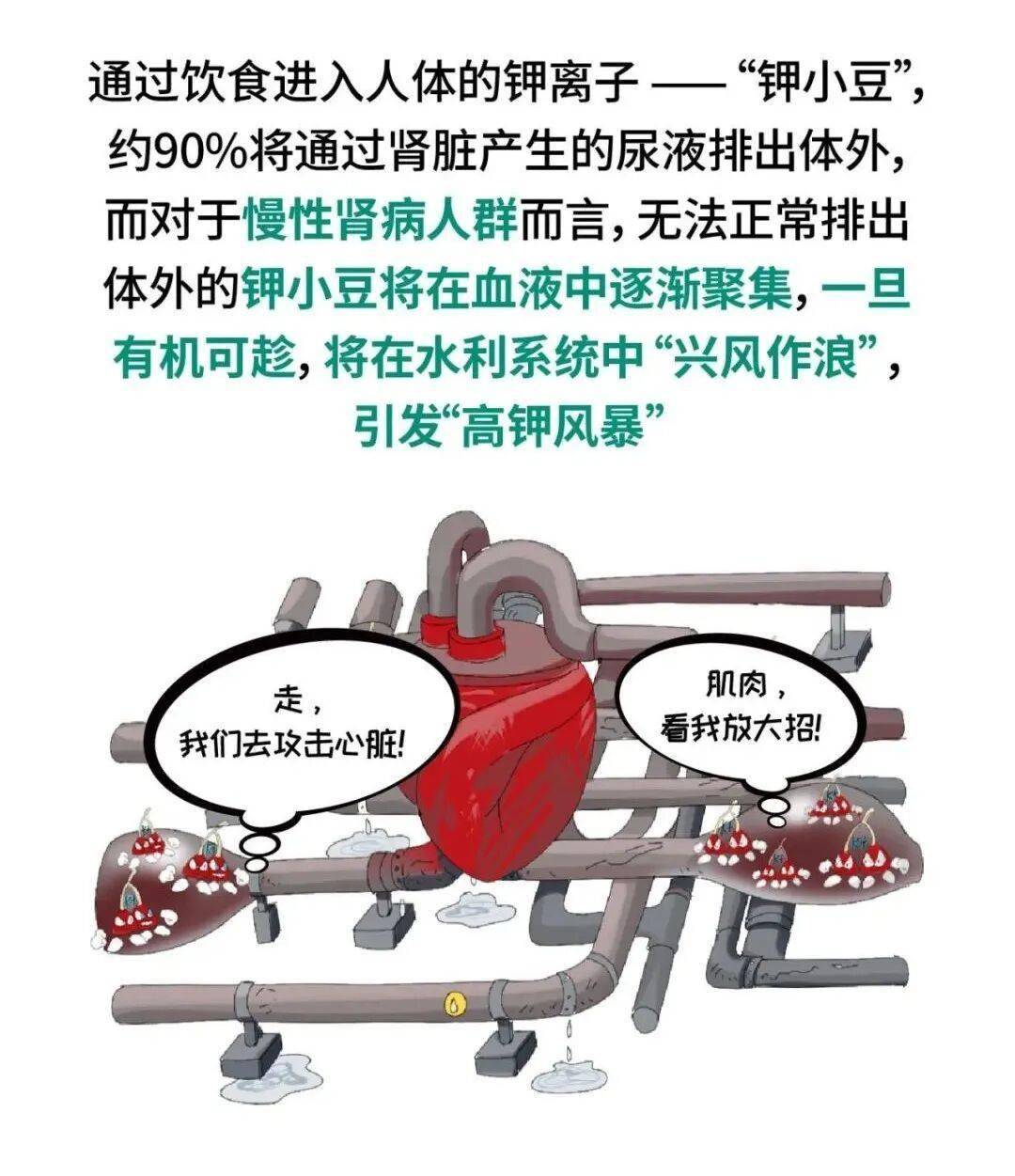 肾衰竭忌口食物表！这10类食物，肌酐高的肾友少吃