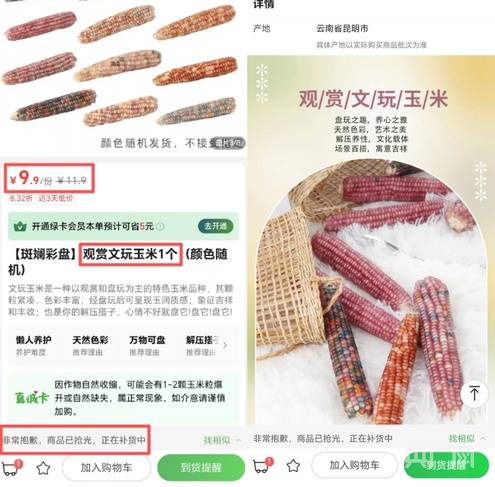 文玩玉米成年轻人“掌上新宠”，资深藏家提醒消费者“量力而行”