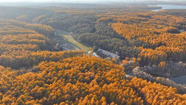 长春的秋天，有一幅油画叫做“净月潭”