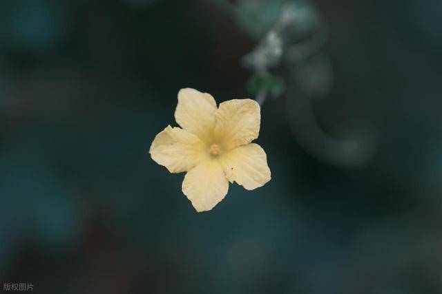 男人，对你越深情，越“忍受不了”这些事