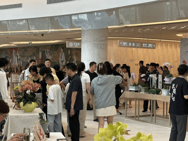 扬州兰花艺术展创文旅消费新纪录