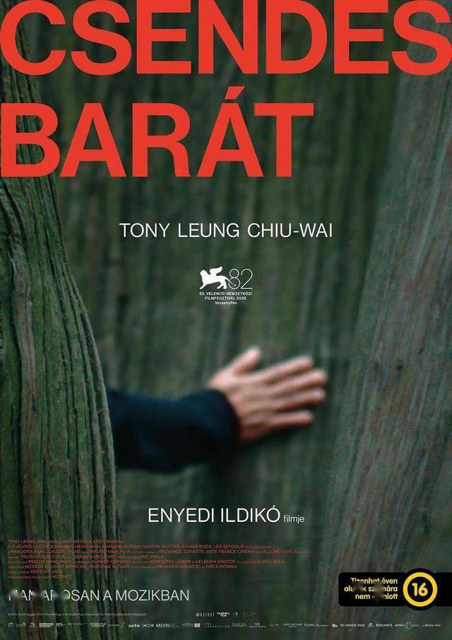 《寂静的朋友》全亚洲登陆，梁朝伟出演大尺度镜头，很可能被删减