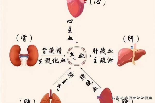 想睡个好觉、吃得香甜、元气满满？这个调养心脾的名方，别错过！