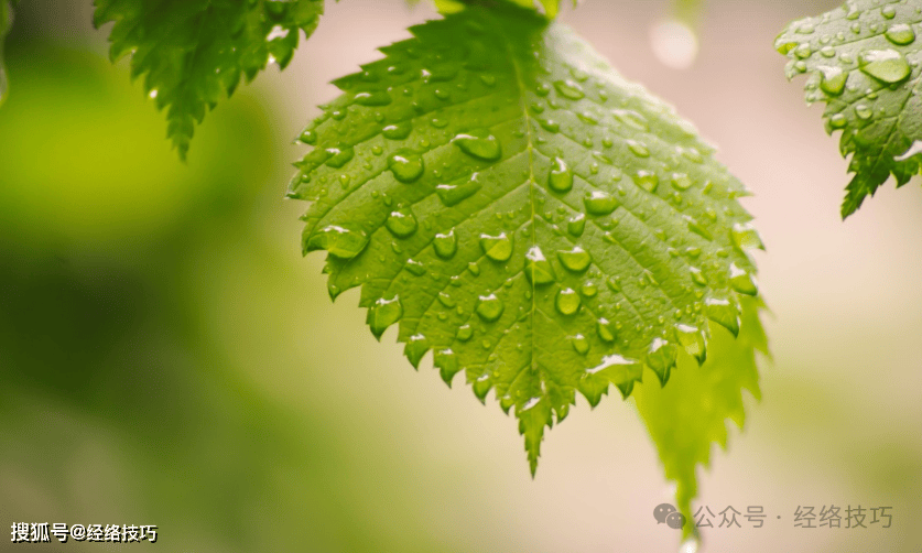 原创            这个动作每天两分钟，坚持一月，你的身体会感谢你！