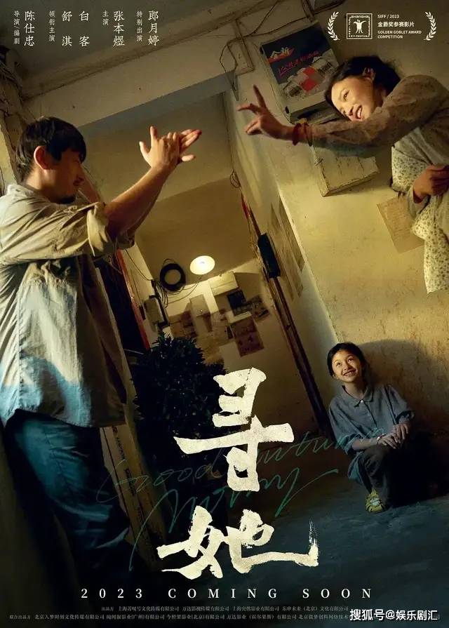 原创            舒淇《寻她》压三年终上映，演村妇搭档白客，但票房堪忧