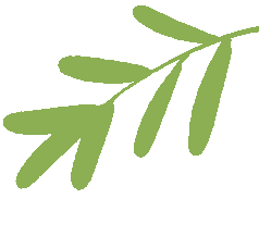 全国高血压日 | 肥胖→高血压→心血管疾病：这条 “健康杀手链”，如何从源头切断？