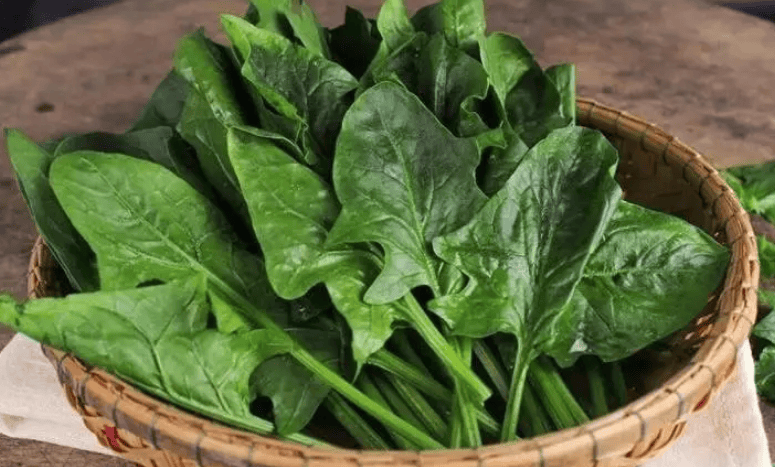 帕金森患者必吃的五种蔬菜！碱性食物竟有如此神奇效果