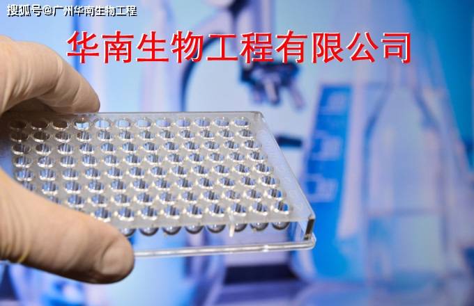 流行性出血热病毒IgM抗体检测试剂盒（酶联免疫法）