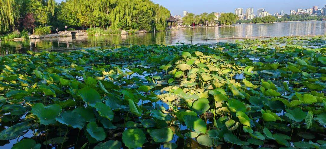 周一心语|| 2025-10-06