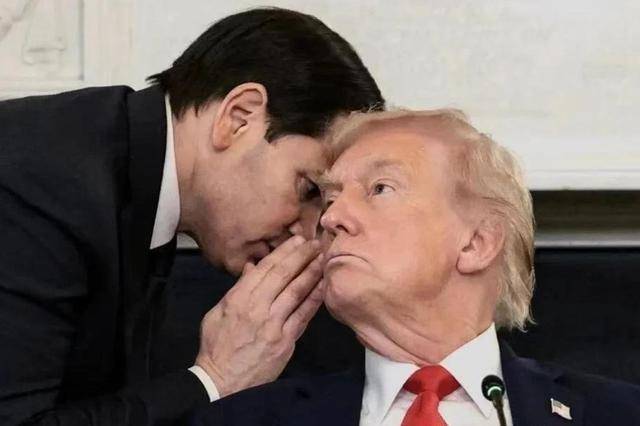 90%高层阵亡，2.5万人战死！哈马斯打败以色列，特朗普领奖？