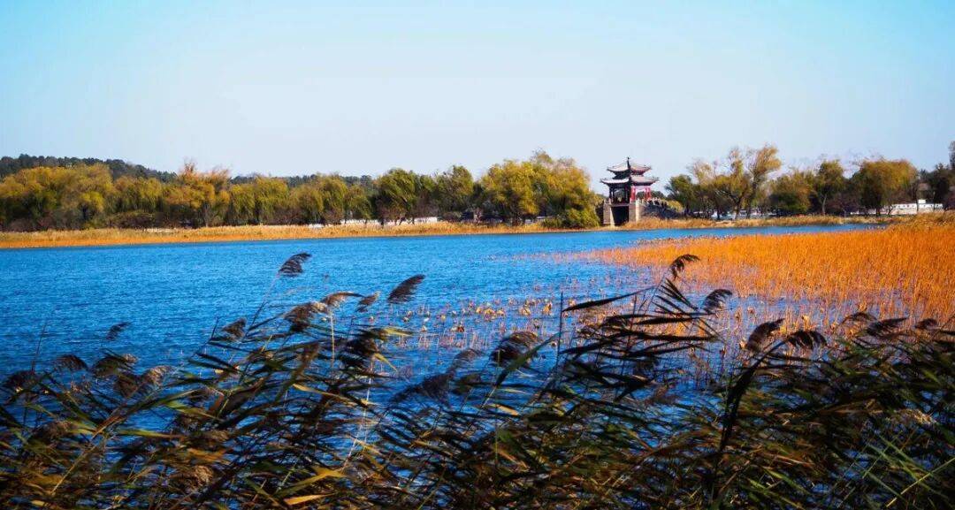 霜降过后吃它，横扫体内寒湿，健脾暖胃，补虚抗邪，不吃太亏了！