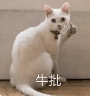 他怎么又上热搜了...