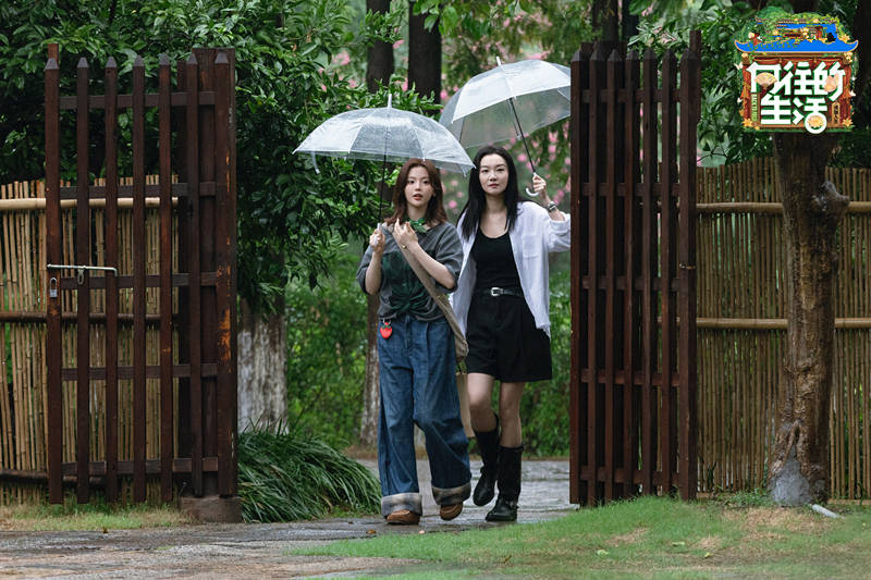 原创            《向往的生活8》垮掉，留下启示，综艺是用来看的，不是用来膜拜的