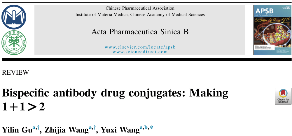 双特异性抗体药物偶联物（BsADCs）：抗癌界的 “1+1>2” 新尝试